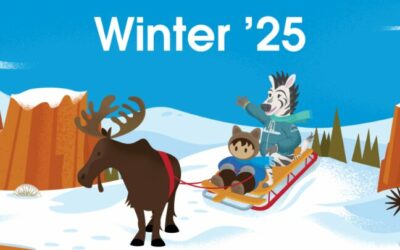 Novedades Salesforce Winter ’25