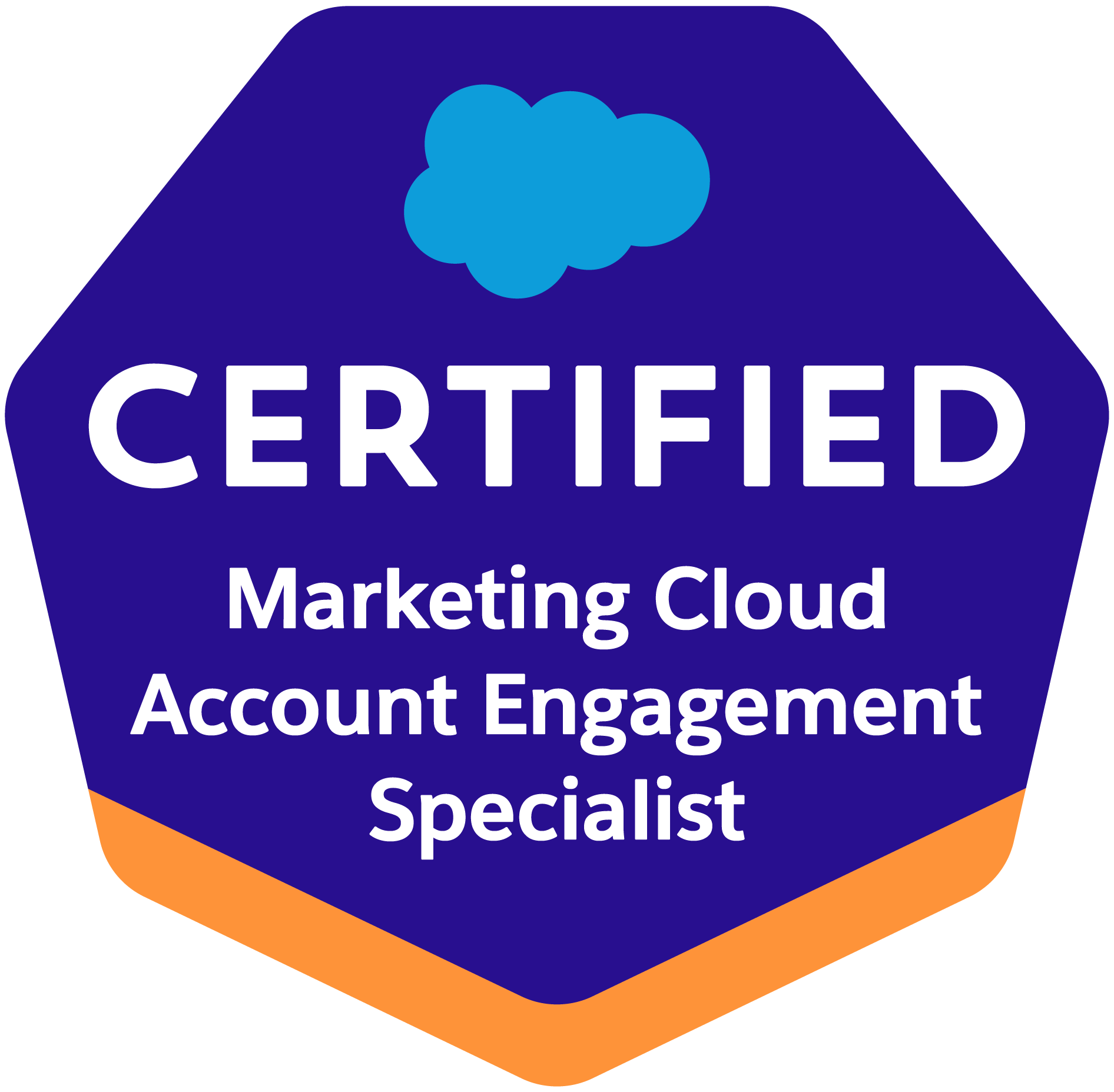 Logo Service-Cloud-Consultant